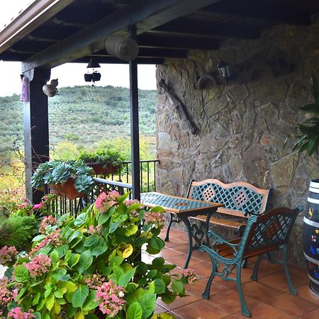 Casa Rural Los Olivos Sotoserrano ภายนอก รูปภาพ