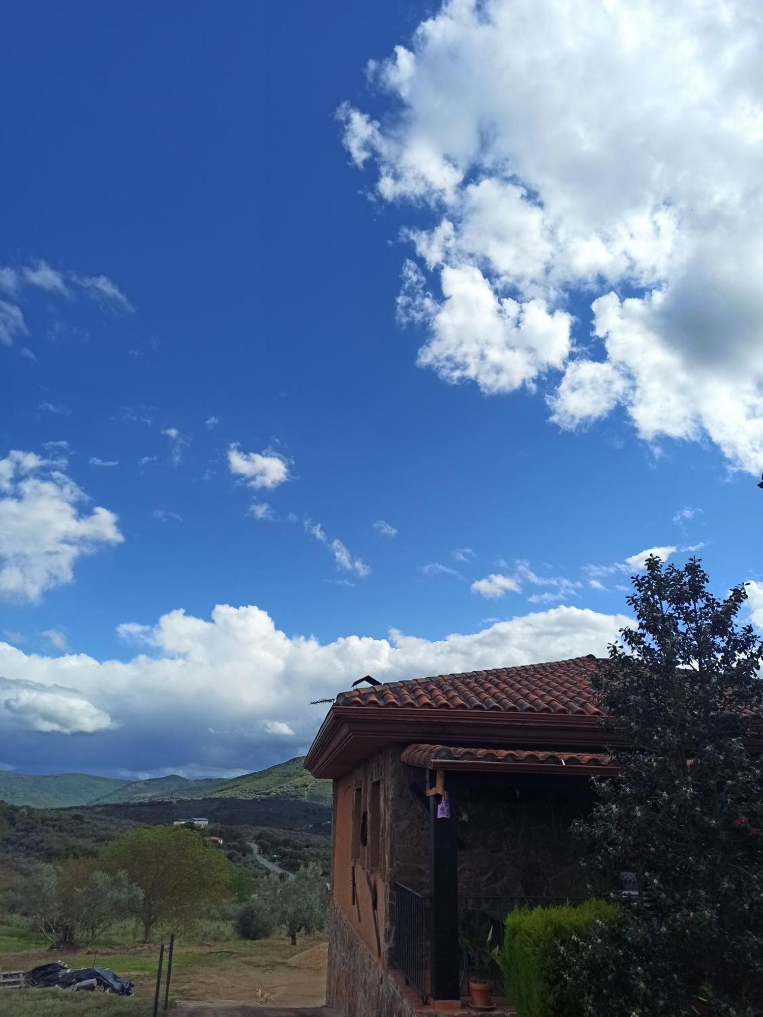 Casa Rural Los Olivos Sotoserrano ภายนอก รูปภาพ