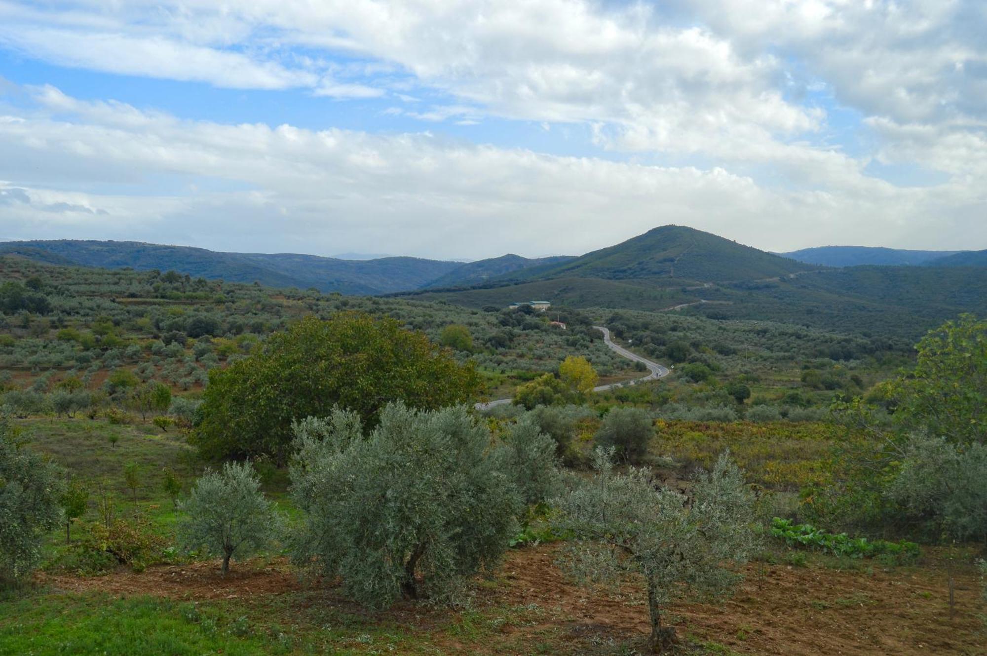 Casa Rural Los Olivos Sotoserrano ภายนอก รูปภาพ